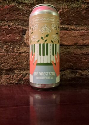 Hop Hooligans - The Forest Song Fruited Sour, 5% (500ml)