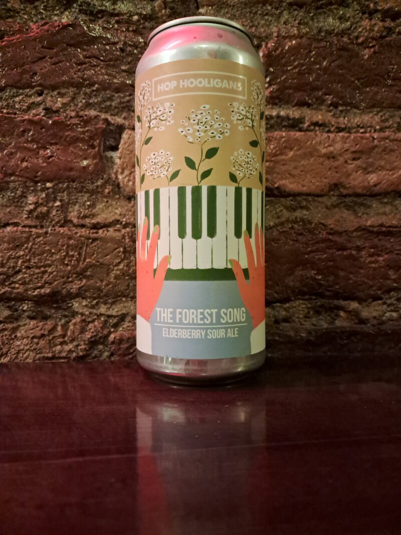 Hop Hooligans - The Forest Song Fruited Sour, 5% (500ml)
